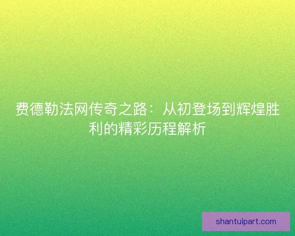 费德勒法网传奇之路：从初登场到辉煌胜利的精彩历程解析