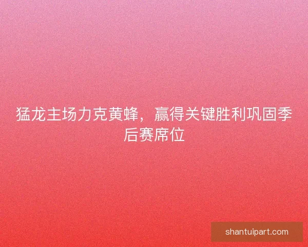 猛龙主场力克黄蜂,赢得关键胜利巩固季后赛席位 猛龙主场力克黄蜂,赢得关键胜利巩固季后赛席位